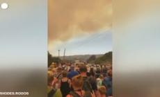 Sei giorni di fiamme fuori controllo a Rodi:  la più grande evacuazione mai vista in Grecia - Video