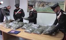 Aumenta l'uso di droga, cannabis e sintetiche tra giovani