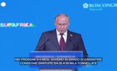 Putin: "Pronti a inviare grano gratuitamente in Africa"