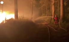 Allarme incendi, emissioni come 10 milioni auto