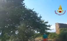 A fuoco boschi nel Valdarno, in arrivo due Canadair