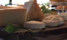 Cucina italiana punta all'Unesco, svelato logo a Pompei
