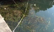 Goletta verde, inquinato un terzo delle coste italiane