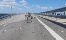 Ponte di Crimea, l'attacco del luglio scorso
