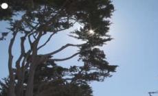 Caldo, 10 gradi sopra la media con la fiammata in corso