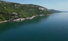 Alga tossica in una baia a Trieste, accesso al mare consentito