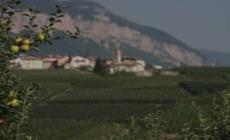 Mele, nelle valli trentine comincia la raccolta