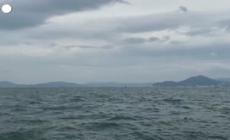Hong Kong si prepara al super tifone Saola, "il piu' forte dal 1949" - video