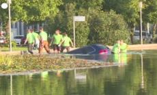 Blitz di Greenpeace al Salone di Monaco, auto nel laghetto