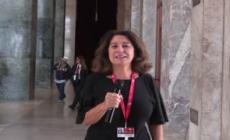 Venezia, il racconto delle due facce della Mostra del Cinema