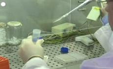 Cala il timore sulla variante Pirola, ora occhi su Eris - Video