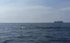 Sabrina Peron, l'avvocata delle nuotate record racconta i suoi segreti