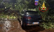 Pioggia e vento fortissimo a Milano: alberi pericolanti e cartelloni pubblicitari caduti. Tromba d'aria nel Varesotto. Tante le chiamate ai vigili del fuoco