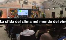 TrentoDoc Festival, la sfida del clima nel mondo del vino