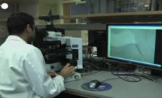 L'influenza e' arrivata in anticipo, identificato il primo caso in Italia