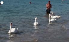 Ancora caldo anomalo, poi El Nino smussera' i picchi