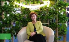 Amazon alleato delle piccole e medie imprese nel processo di digitalizzazione