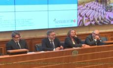 Senato, rappresentanti Pd mostrano video con finto discorso Meloni