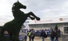 A Verona la 125/a Fieracavalli con 2.500 capi di 60 razze