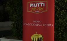 Pomodorino d'oro, Mutti premia due coltivatori foggiani - Video