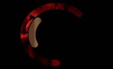 "Siamo serie": La chimica della morte, A White White Day, Love to Love You: Donna Summer