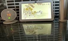 Echo Show 8, molto piu' di uno smart speaker