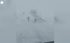 Tempesta di neve in Romania, alberi caduti - video