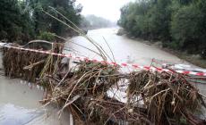 Parma e provincia, allerta gialla per vento e piene dei fiumi 