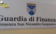 Scuola, Valditara: "Piano di vigilanza per contrastare i diplomifici"