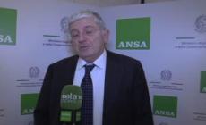 De Luca: "Sviluppare il made by Italy investendo sul mercato asiatico"