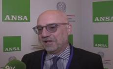 Emirati arabi uniti, Fanara: "Continueranno ad investire in Italia"