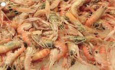 Cena di Natale con rincari record da vongole a crostacei