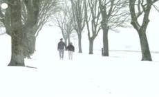 Francia, abbondanti nevicate sul Nord del Paese