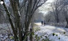 Parigi, il Bois de Vincennes ricoperto dalla neve