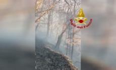 Ennesimo incendio boschivo in Valle di Susa, vigili del fuoco al lavoro