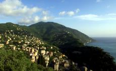 Il Tar annulla il ridimensionamento del Parco Nazionale  di Portofino