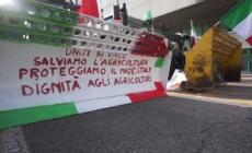 Protesta agricoltori, la mobilitazione davanti ai cancelli di Fieragricola a Verona