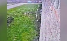 Arrestato boss Raduano, ecco il video della rocambolesca evasione