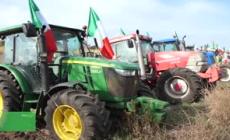 Trattori, le voci dal presidio alle porte di Roma: "Chiediamo un prezzo equo"