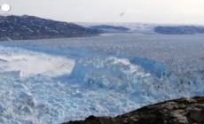 L'Artico sempre piu' caldo minaccia gli orsi bianchi