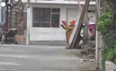 Peru', Teddy Bear contro in narcos: agente travestito da orsacchiotto durante un blitz