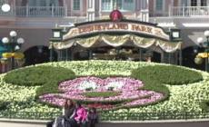 "Topolino" e "Pluto" vogliono il sindacato a Disneyland