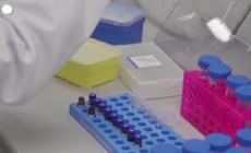 Dal Dna delle minoranze spinta per diagnosi piu' precise