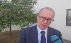 Elementari, si cambia ancora, giudizi piu' comprensibili