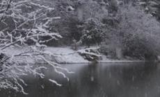 Torna la neve sulle Alpi allerta per il pericolo valanghe