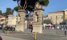 8 marzo, DonatoriNati organizza una raccolta straordinaria di sangue