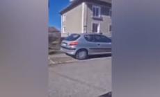Slovacchia, attacchi di orsi in montagna e città: morta un'escursionista - Video