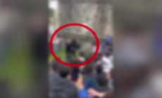 Lite tra ragazzine, 14enne ferita a coltellate nel Bresciano