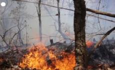 Incendi in Messico, a fuoco una piantagione di avocado