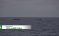 Emergency: "Mandarci a Ravenna aumentera' la sofferenza dei naufraghi"